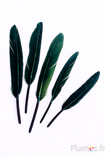 Oie Lame - 10-15 cm - vert sapin